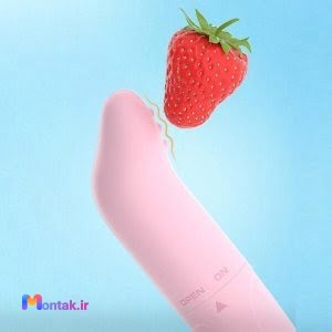 ویبراتور دلفینی